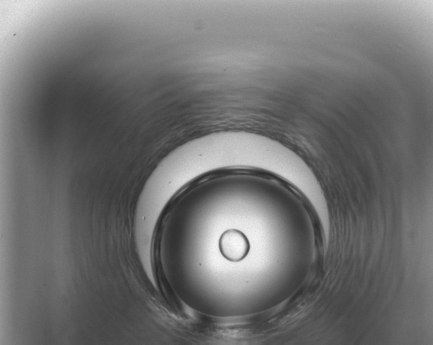 X0000071390237200606301844