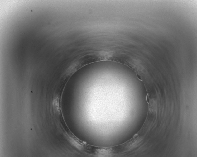 X0000071390238200606301844