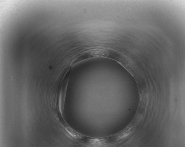 X0000071390239200606301844