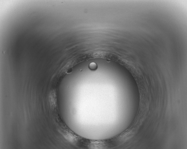 X0000071390240200606301844