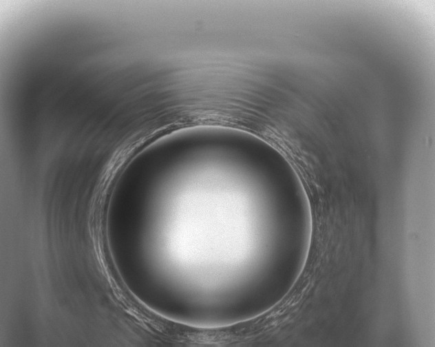 X0000071390241200606301843