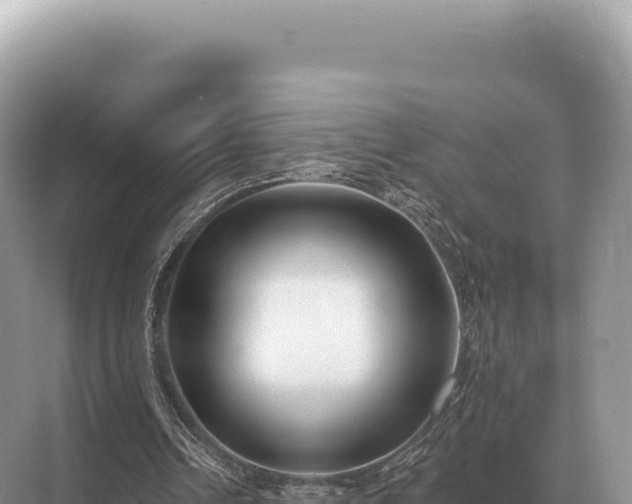 X0000071390242200606301843