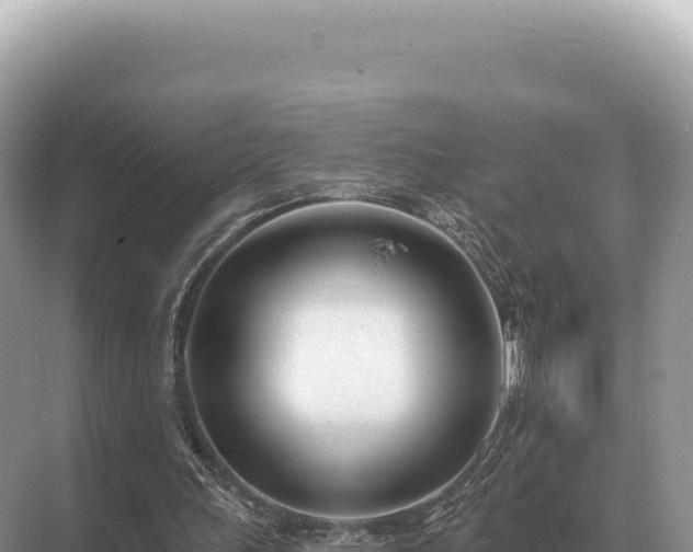 X0000071390243200606301843