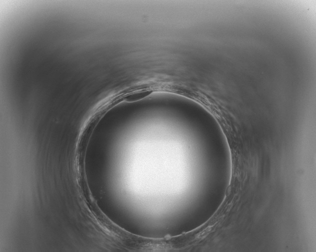 X0000071390245200606301843