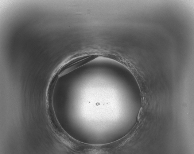 X0000071390246200606301843