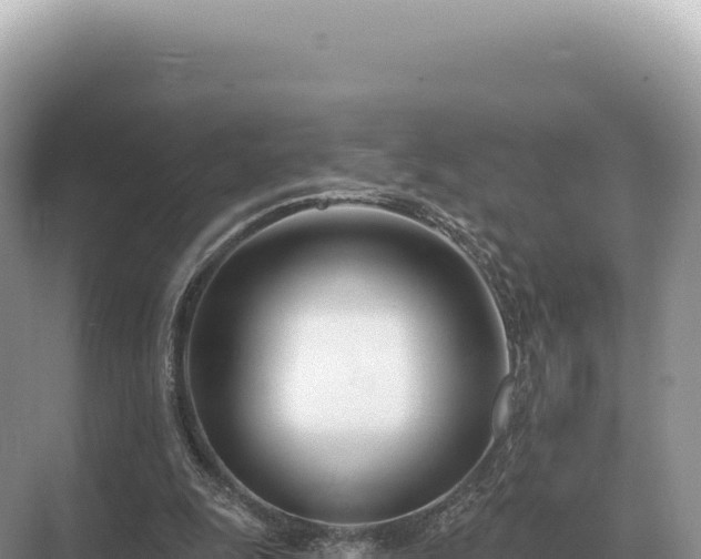 X0000071390247200606301843