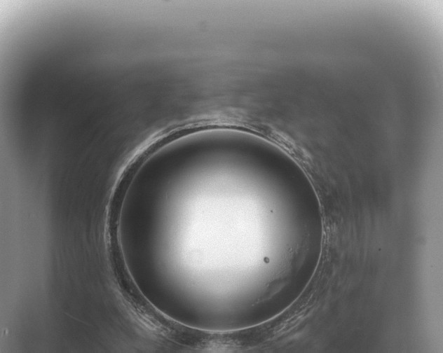 X0000071390248200606301843