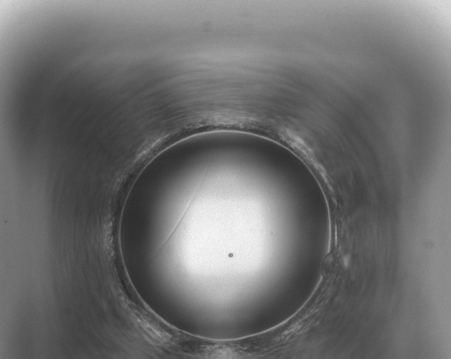 X0000071390249200606301843