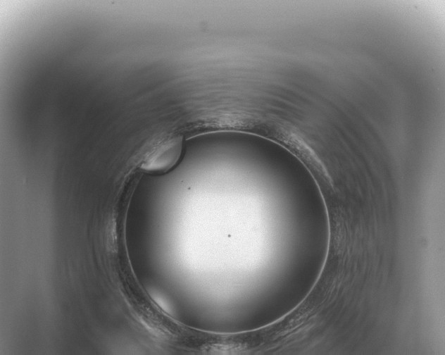 X0000071390251200606301843