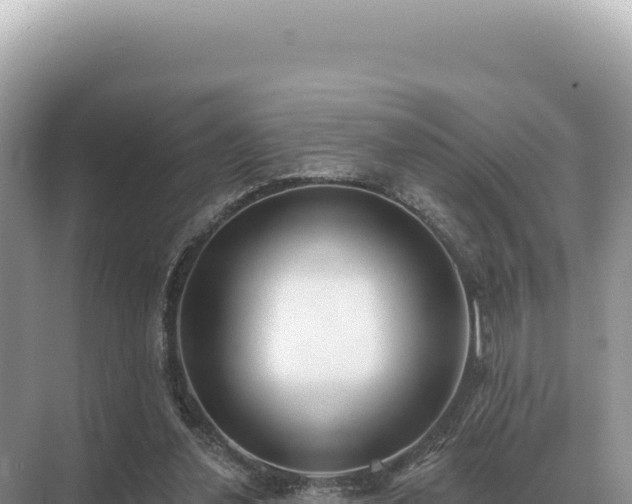 X0000071390252200606301843