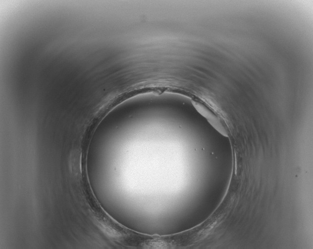 X0000071390253200606301843