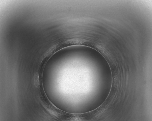 X0000071390254200606301843