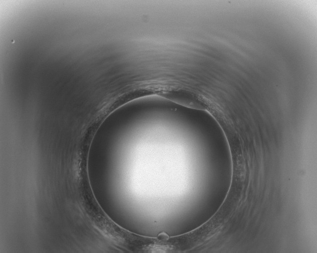 X0000071390255200606301843