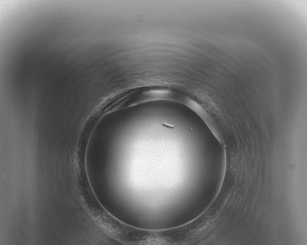 X0000071390256200606301843