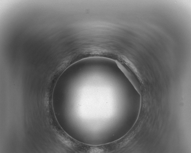 X0000071390257200606301843