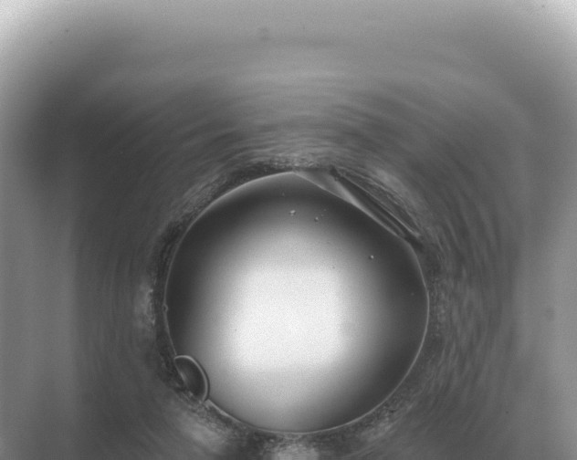 X0000071390258200606301843