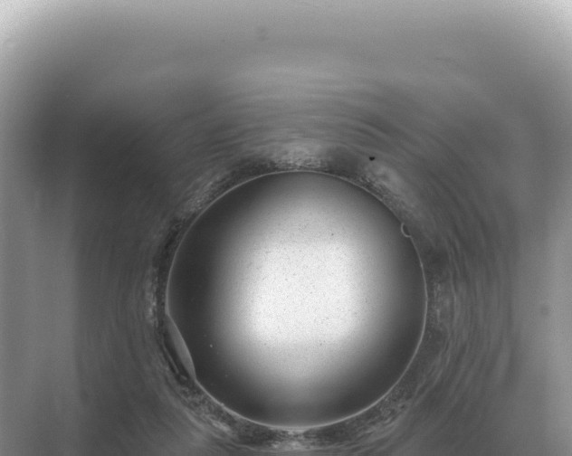 X0000071390259200606301843