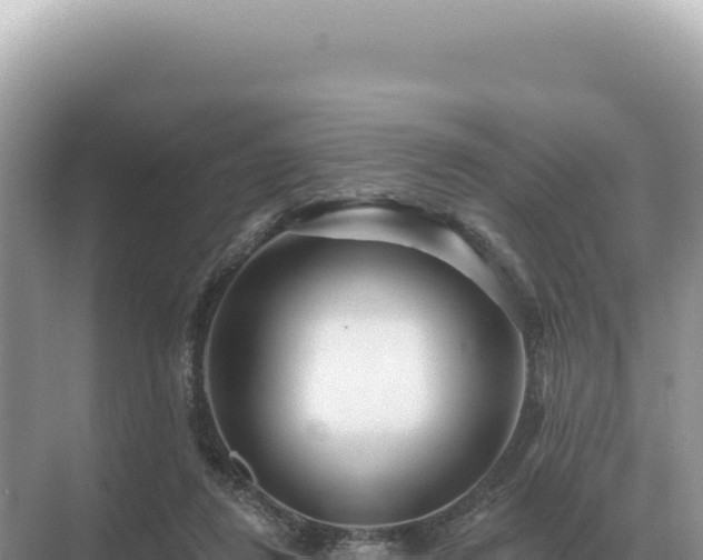 X0000071390260200606301843