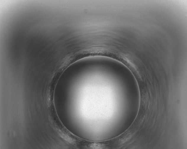 X0000071390261200606301843