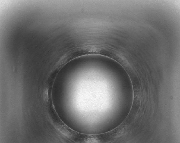 X0000071390262200606301843