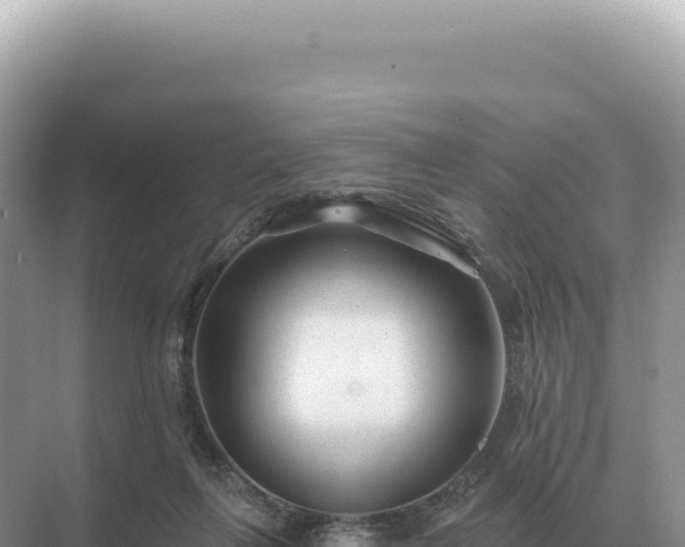 X0000071390263200606301843