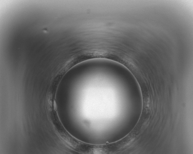 X0000071390264200606301843