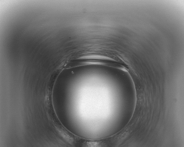 X0000071390265200606301843