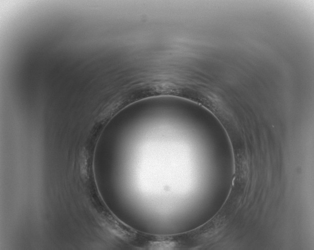 X0000071390266200606301843