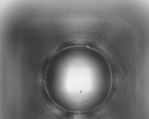 X0000071390268200606301843