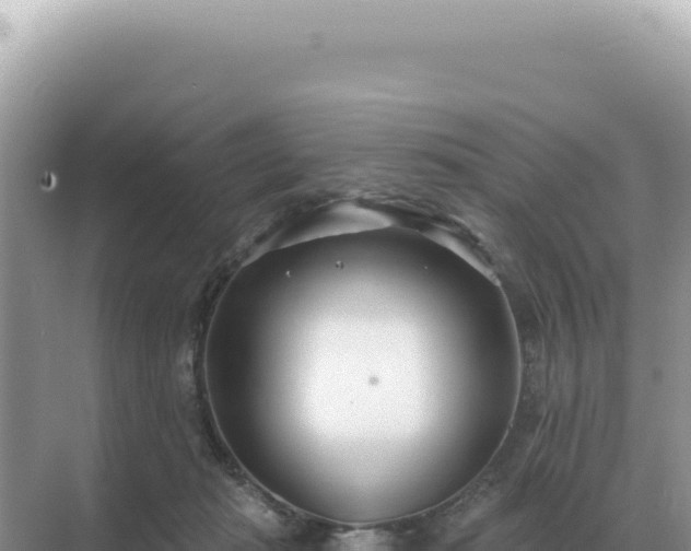 X0000071390269200606301843