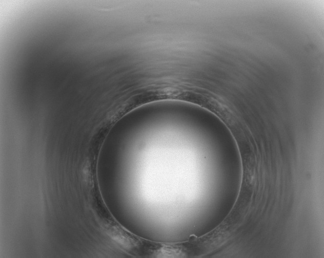 X0000071390270200606301843