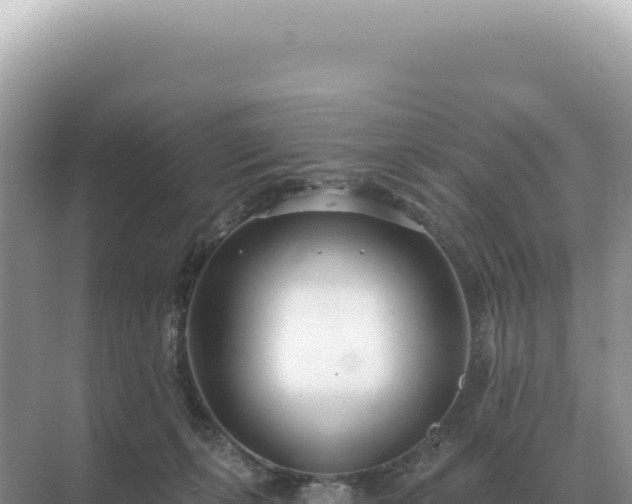 X0000071390271200606301843