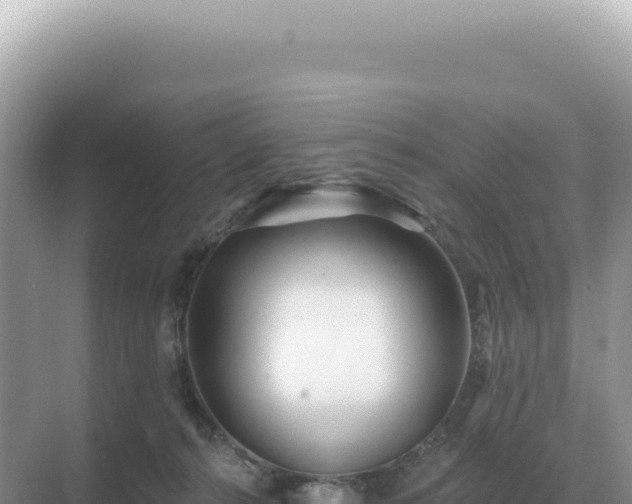 X0000071390272200606301843