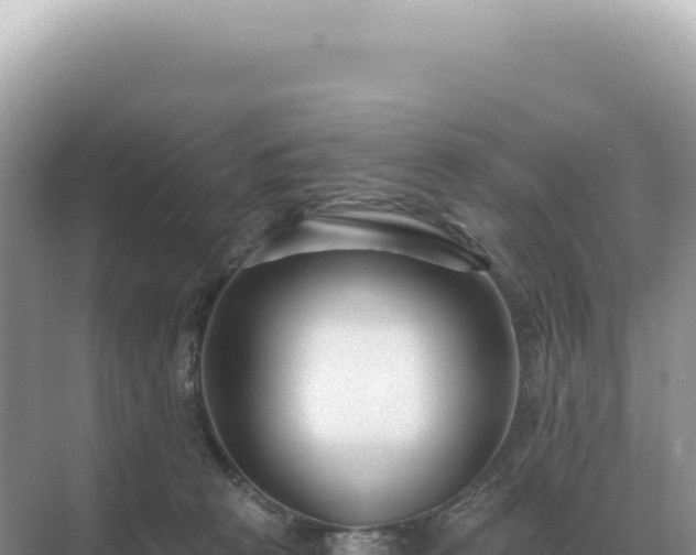 X0000071390273200606301843