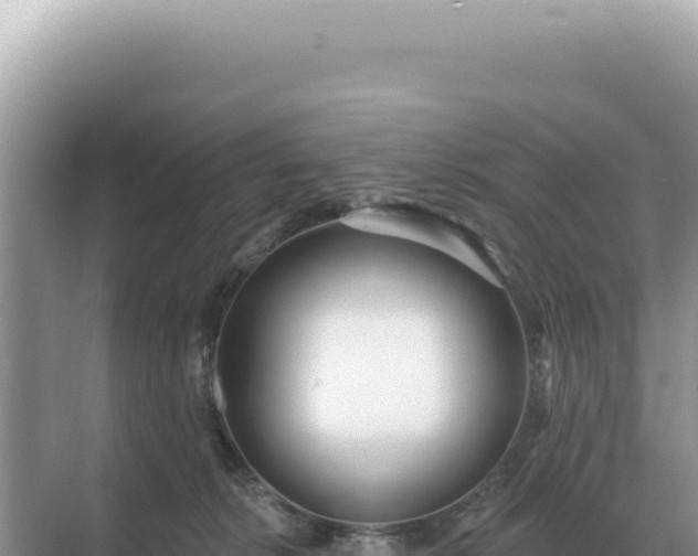 X0000071390276200606301844