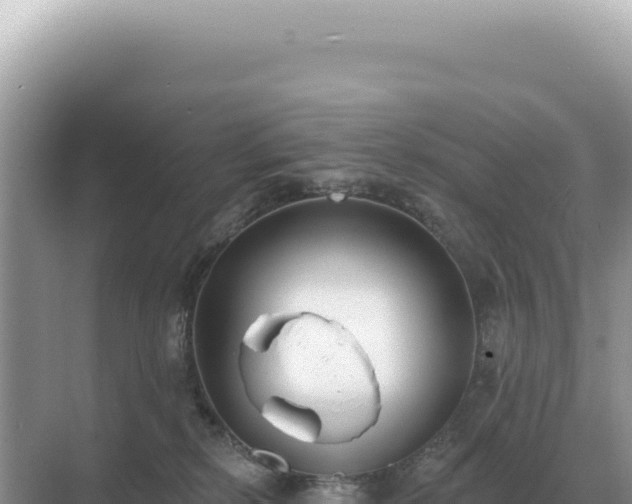 X0000071390278200606301844