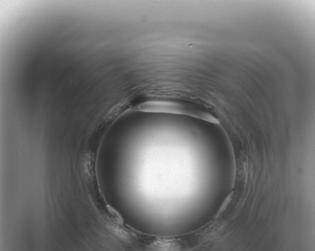 X0000071390280200606301844