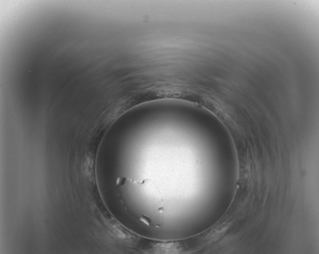 X0000071390281200606301844