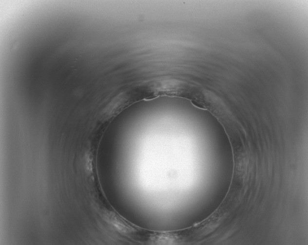 X0000071390282200606301844