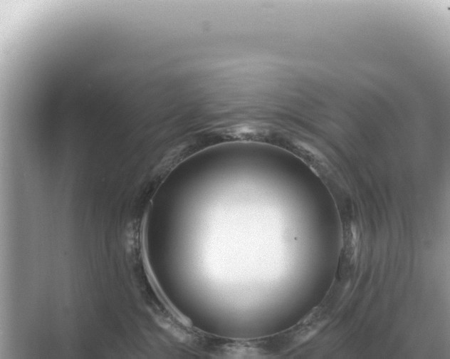 X0000071390284200606301844