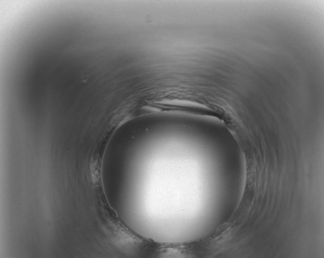 X0000071390285200606301844