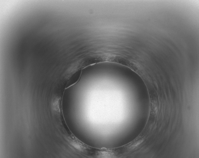 X0000071390286200606301844