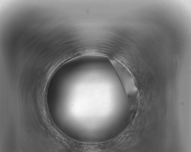 X0000071390289200606301843