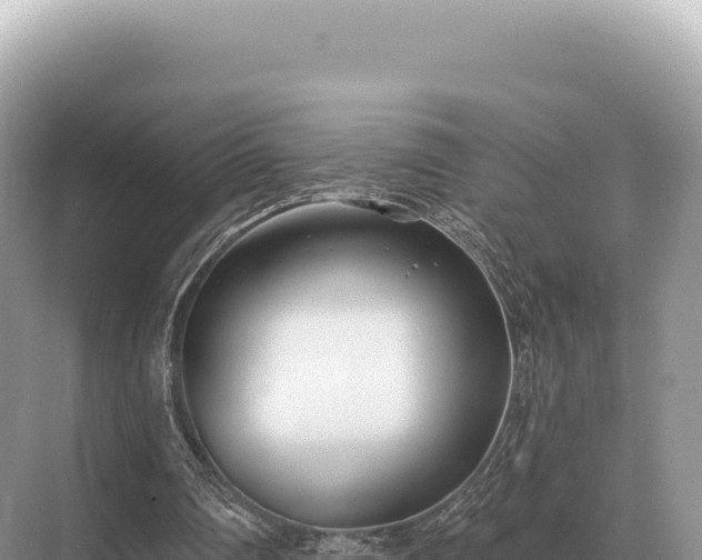 X0000071390290200606301843