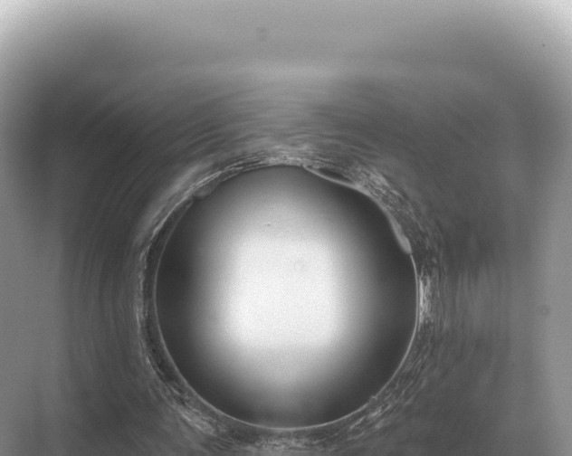 X0000071390291200606301843