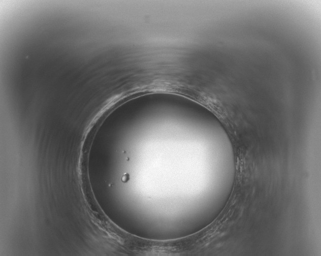 X0000071390292200606301843