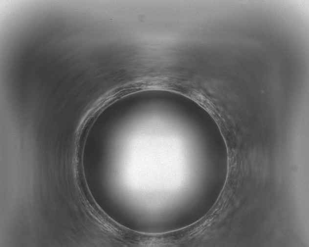 X0000071390293200606301843