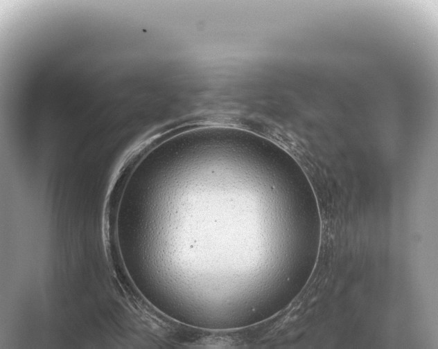 X0000071390294200606301843