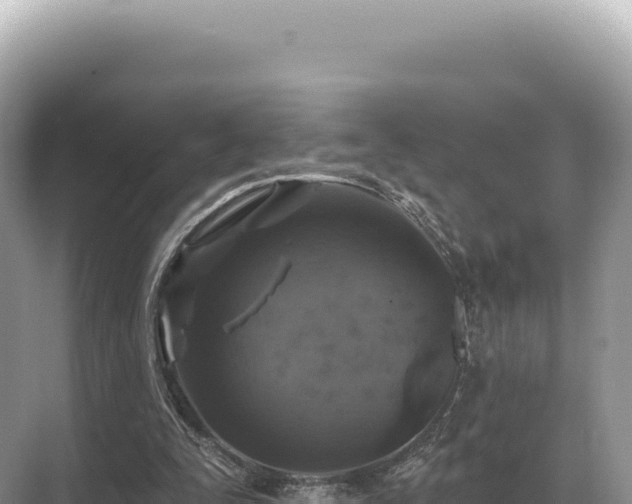 X0000071390295200606301843