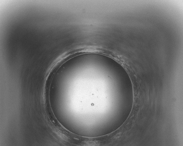 X0000071390296200606301843